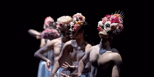 Sous les fleurs - THOMAS LEBRUN