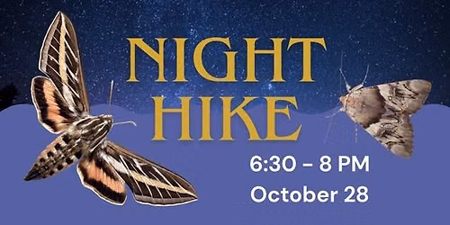 After Dark: A Night Hike