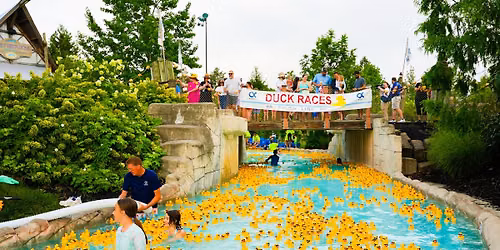Zoom Duck Derby 2026