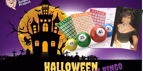 "Be-Witchingly Delicious" Halloween Drag Bingo | SHAP Fundraiser