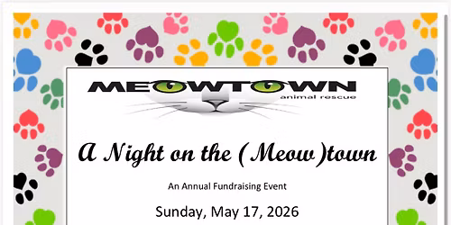 A Night on the (Meow)town