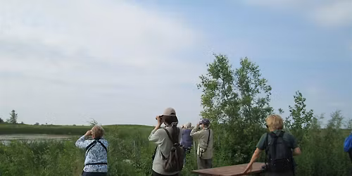 Birding for Beginners - St. Vital Park