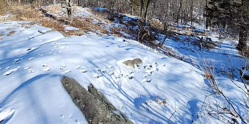 Guided Winter Hike - Secret view