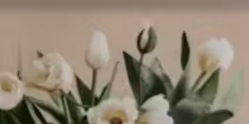 Linedance kurs, nybegynner og videreg\u00e5ende 