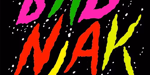 \ud83c\udf84 BADNJAK U NIGDJEZEMSKOJ! \ud83c\udf84