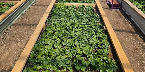 1st & 3rd Monday Farm Operational Mtg 12pm - 1pm