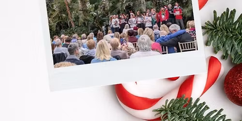 Your Voice Your Choice Christmas Concert