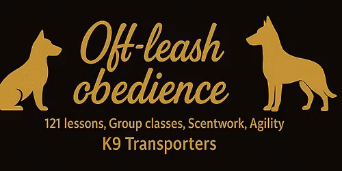 Bronze Obedience: New Year, New start