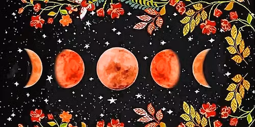 Big Norfolk Sky Women's Camp: The Moon