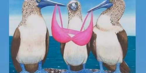 Booby Birds at Hayleys in Williton 