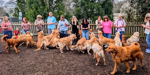 August Golden Meetup 