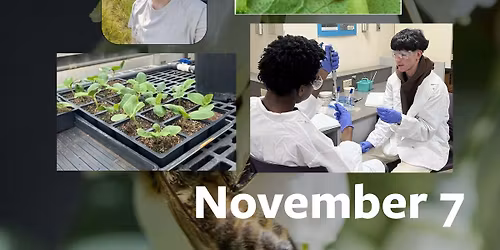 Kaler Science Lecture Series: MICRO-CCS