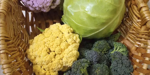 Fall & Winter Vegetables