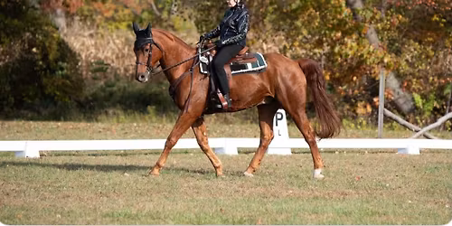 CDCTA Combined Test and Dressage Show #4