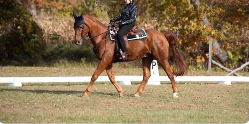 CDCTA Combined Test and Dressage Show #4