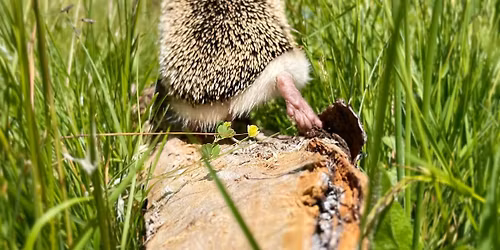 Appreciation Lunch in the Sun \u2600\ufe0f 