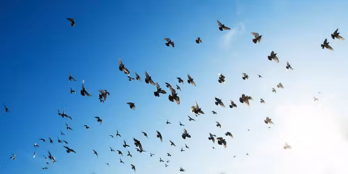 January 2026 MN ENM Group - Topic: Autonomy