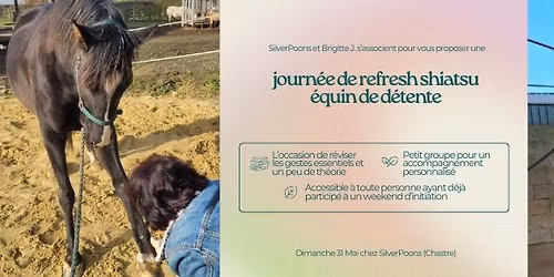 Journ\u00e9e de refresh du shiatsu de d\u00e9tente