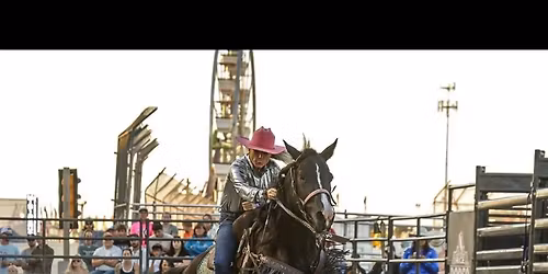 Barrel Racing Clinic & Western Riding Skills