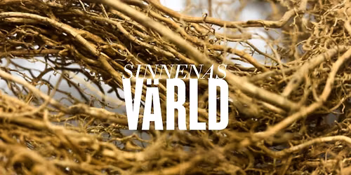 Sinnenas v\u00e4rld: Med doft av vetiver