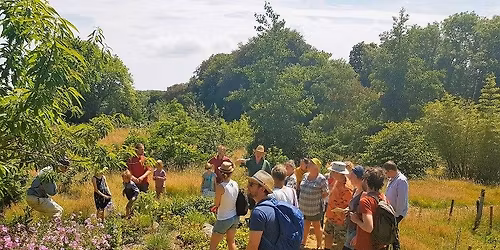 An Introduction to Forest Gardening