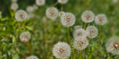 OTWARTE PRACOWNIE. SPOTKANIE W DOBROSTANIE