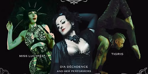 Burlesque Night