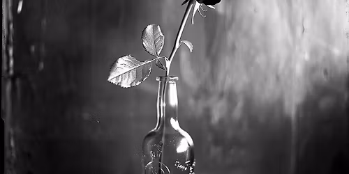 World Premiere of 'Black Rose' A Film Noir