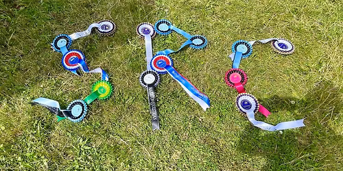 Area 17 Championship Weekend - Moreton