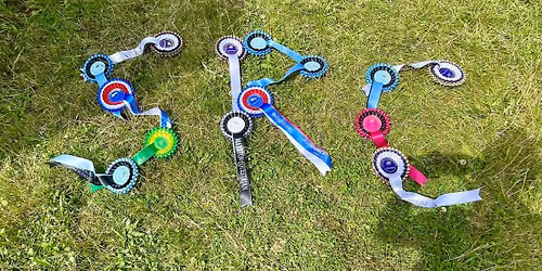 Area 17 Championship Weekend - Moreton