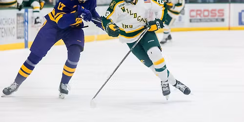 NMU Hockey Pre-Game Gathering in Mankato