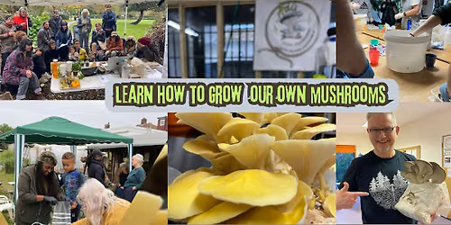 Mushroom Growing Workshop \u2013 Grow Mushrooms on Coffee Waste \u2615\ufe0f and Straw