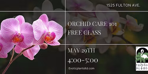 Orchid Care 101 (Free Class)