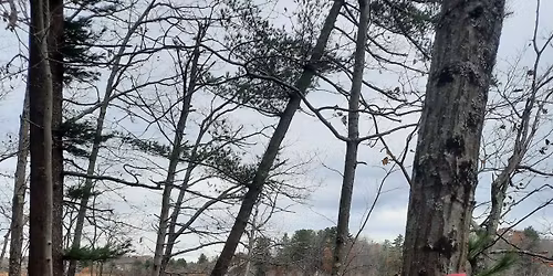 GPNEMBA Ride - Nonesuch River Woods (aka Furrland)