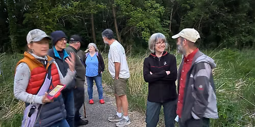 Acoustic Survey of Hoyt Park Bats
