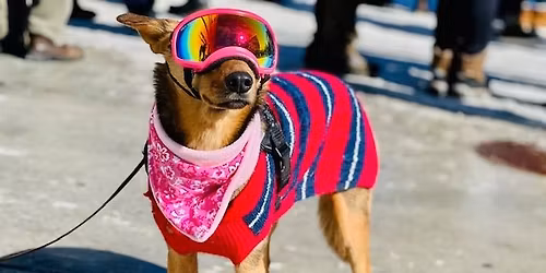 Intro to Cross-Country Skiing