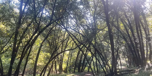 Saturday Group Hikes & Trail Runs at Rancho San Antonio, Santa Clara County