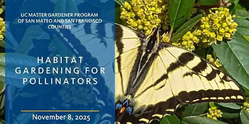 Habitat Gardening for Pollinators