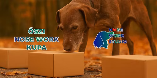 \u0150szi Nose Work Kupa