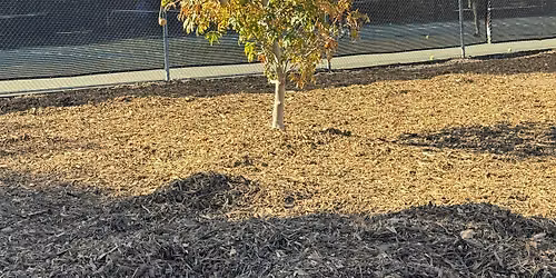 Mulch Spreading at Bramhall Park