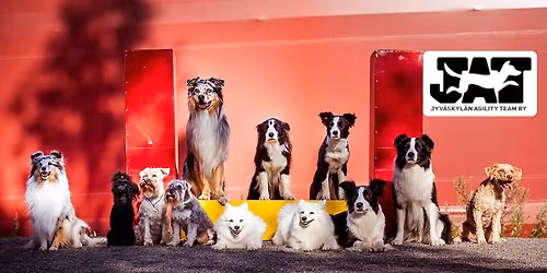 JAT huhtikuun m\u00f6lliagilitykisat 28.4.2026 