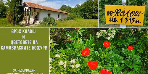 \u0412\u0440\u044a\u0445 \u041a\u043e\u043b\u043e\u0448 \u0438  \u043f\u0440\u043e\u043b\u0435\u0442\u043d\u0438\u0442\u0435 \u0431\u043e\u0436\u0443\u0440\u0438