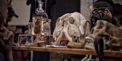 Oddities and Curiosities Expo at Florida State Fairgrounds Expo Hall