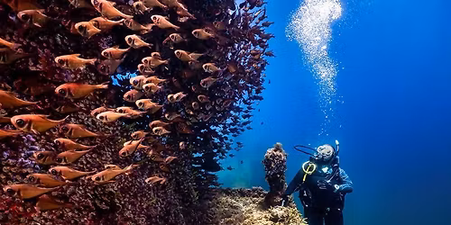 Lena Wreck & 20M Blades Combo