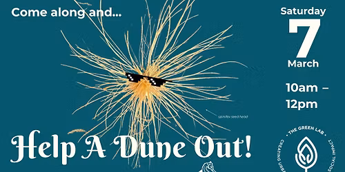 Help A Dune Out! for Seaweek 2026