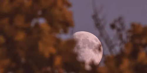 New Moon Sound Bath & Meditation 