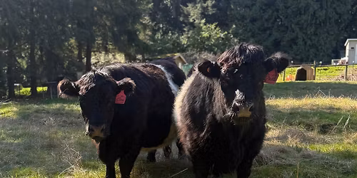 Spring Farm Fair & Preschool Open House