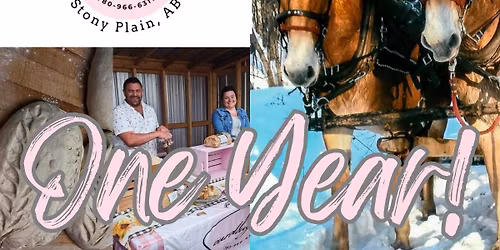 The Sourdough Lady turns 1!