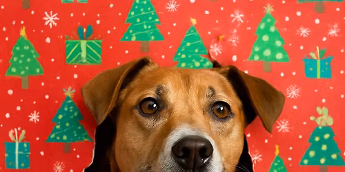 Wrapping Paper Photoshoot