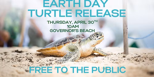 Turtle Release in observation of Earth Day